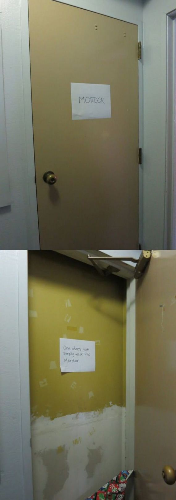 funny-pictures-557