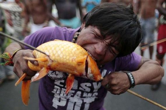 funny-pictures-557