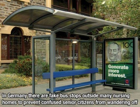 funny-pictures-557