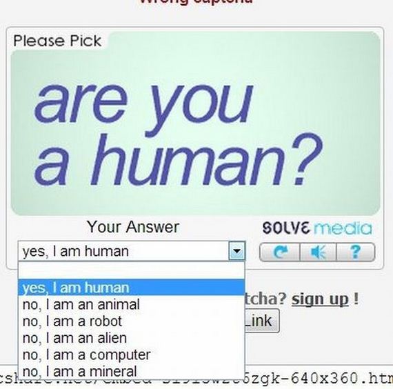 funny-pictures-557