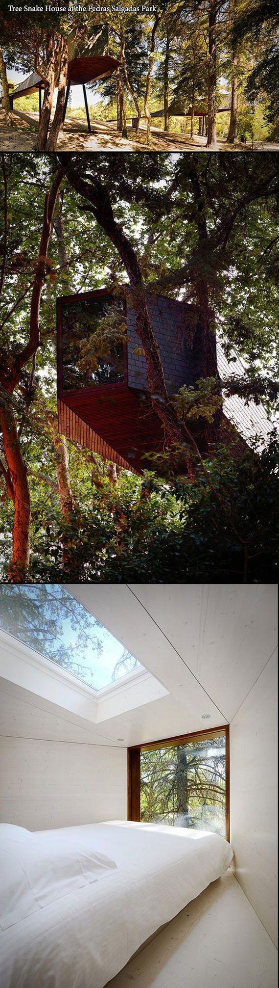 funny-pictures-557