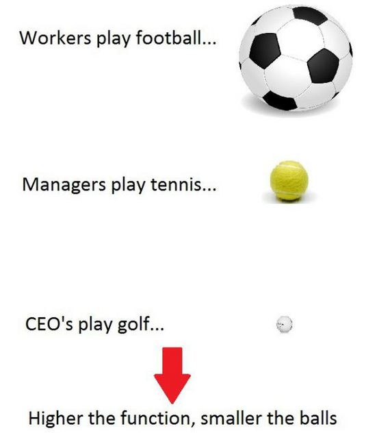 funny-pictures-558