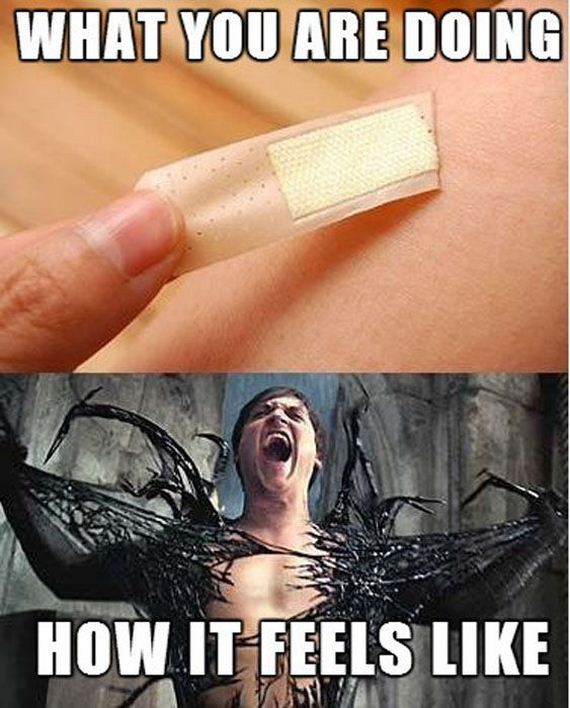 funny-pictures-558