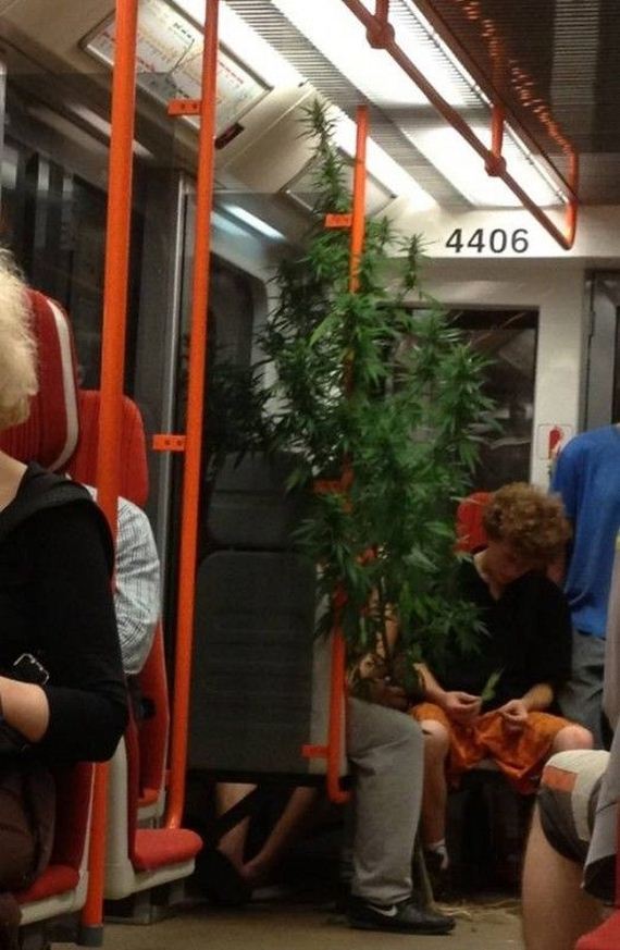 funny-pictures-558