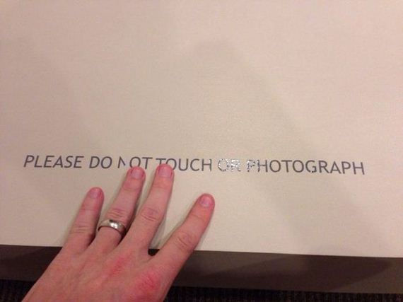 funny-pictures-558