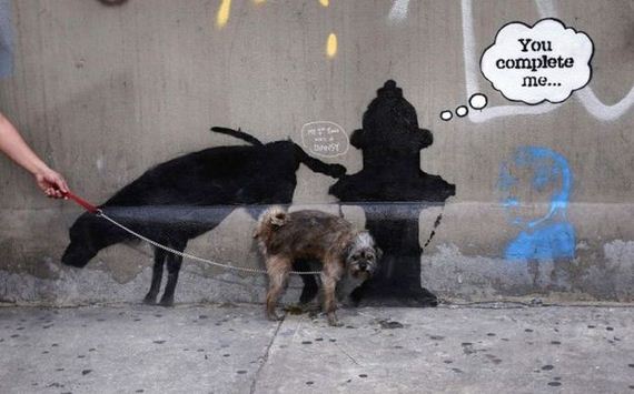 funny-pictures-558
