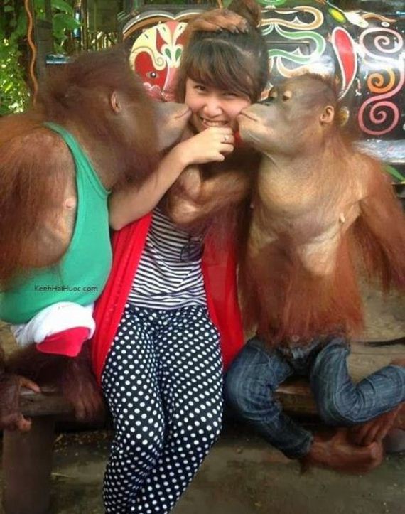 funny-pictures-558