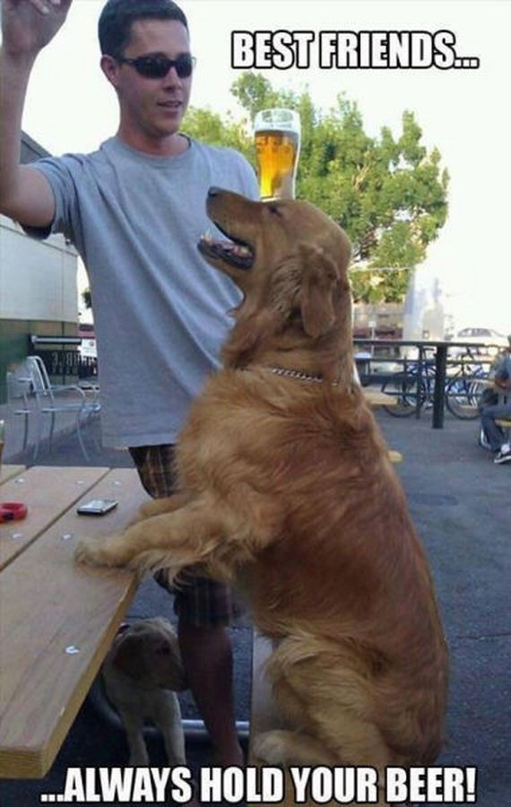 funny-pictures-558