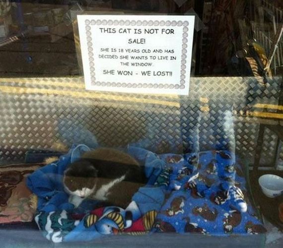 funny-pictures-559
