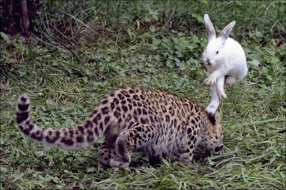 funny-pictures-559