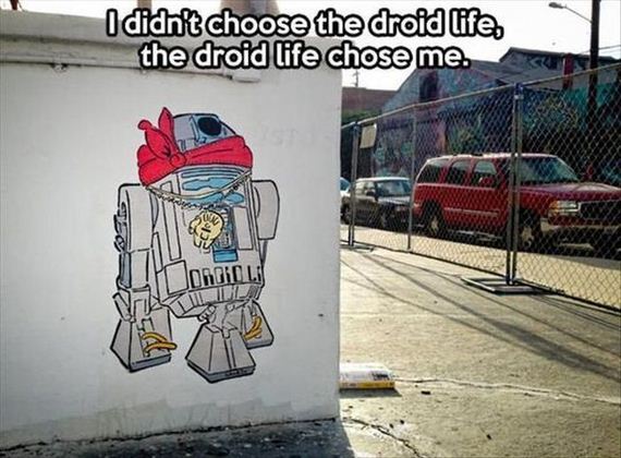 funny-pictures-559