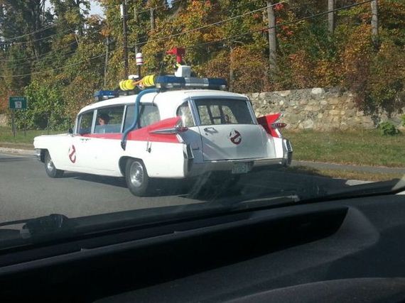 funny-pictures-559