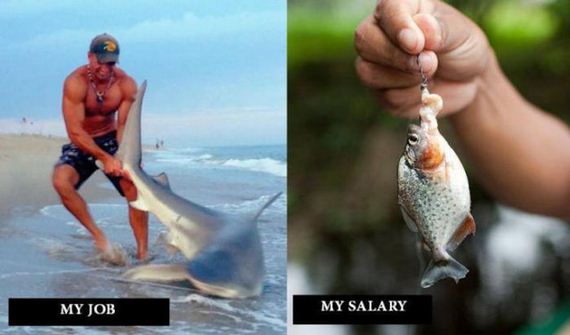 funny-pictures-559