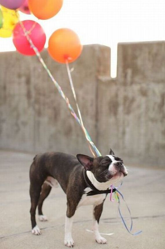 funny-pictures-560