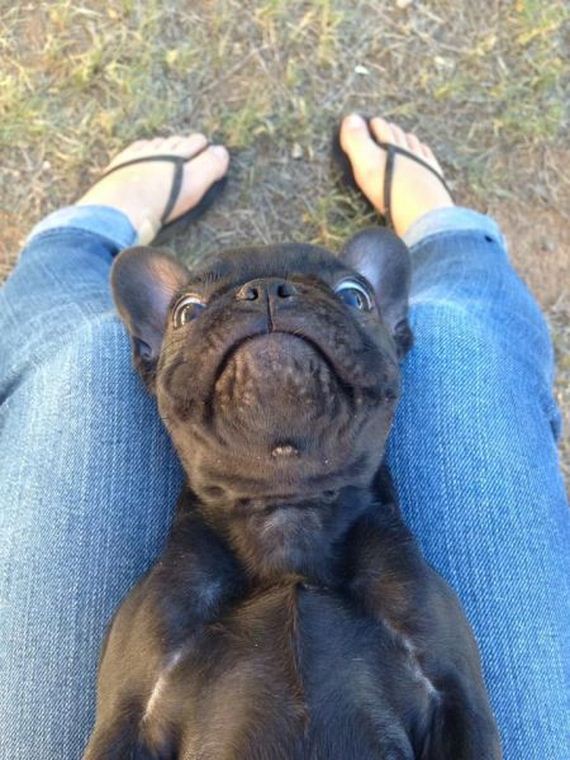 funny-pictures-560