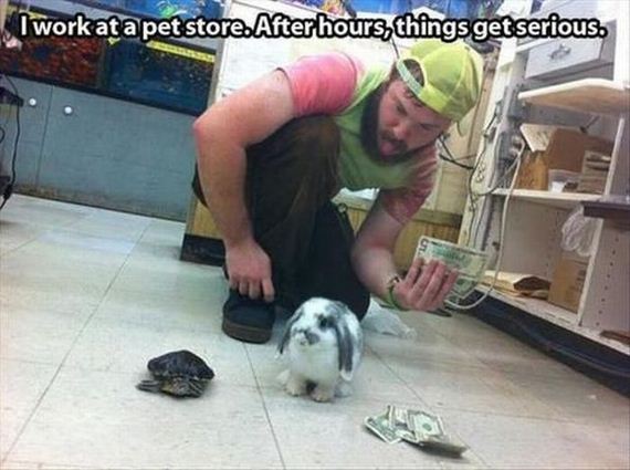 funny-pictures-560