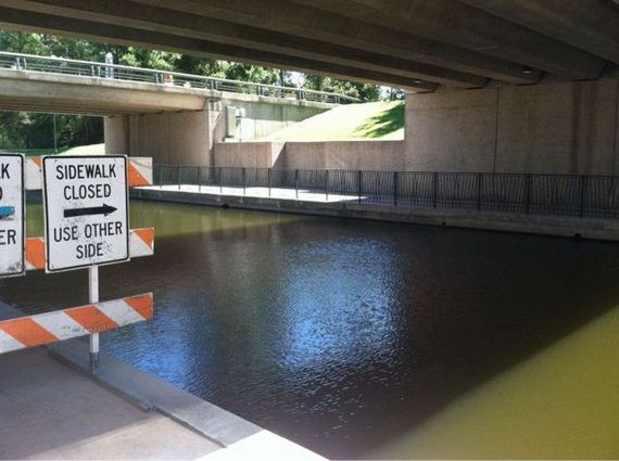 funny-pictures-560