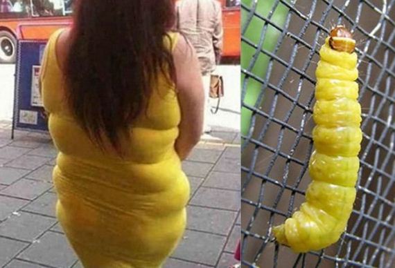 funny-pictures-560