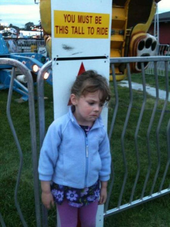 funny-pictures-560