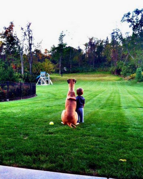 funny-pictures-560