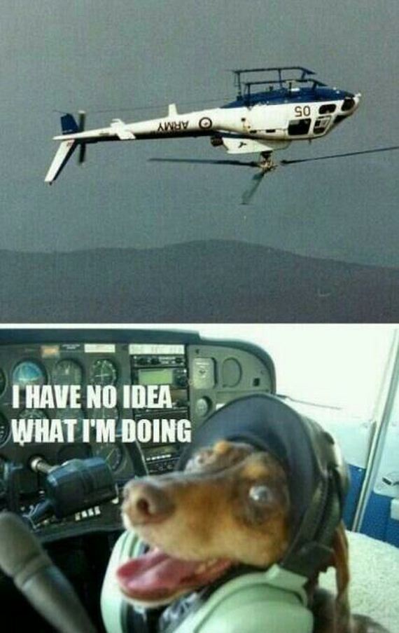 funny-pictures-560