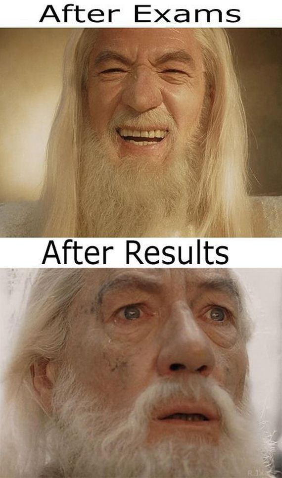 funny-pictures-560