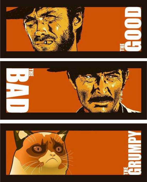 funny-pictures-560