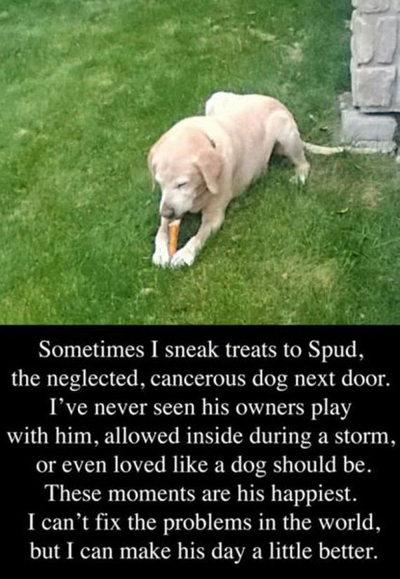 funny-pictures-561