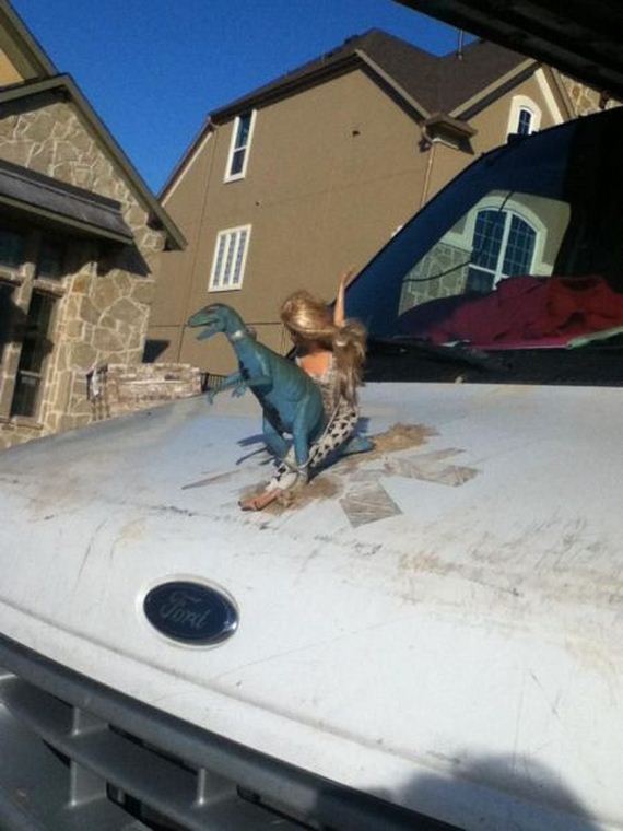 funny-pictures-561