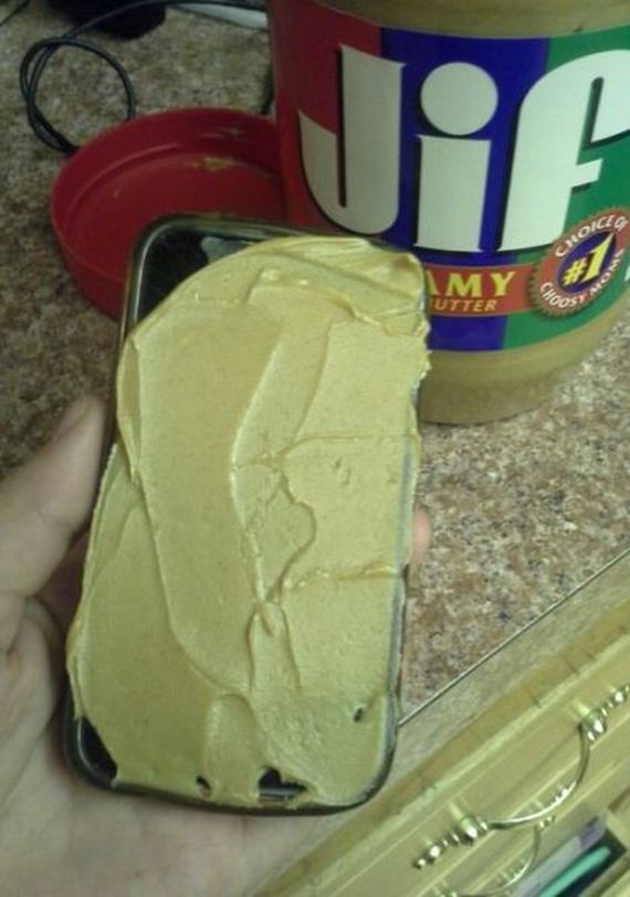 funny-pictures-561