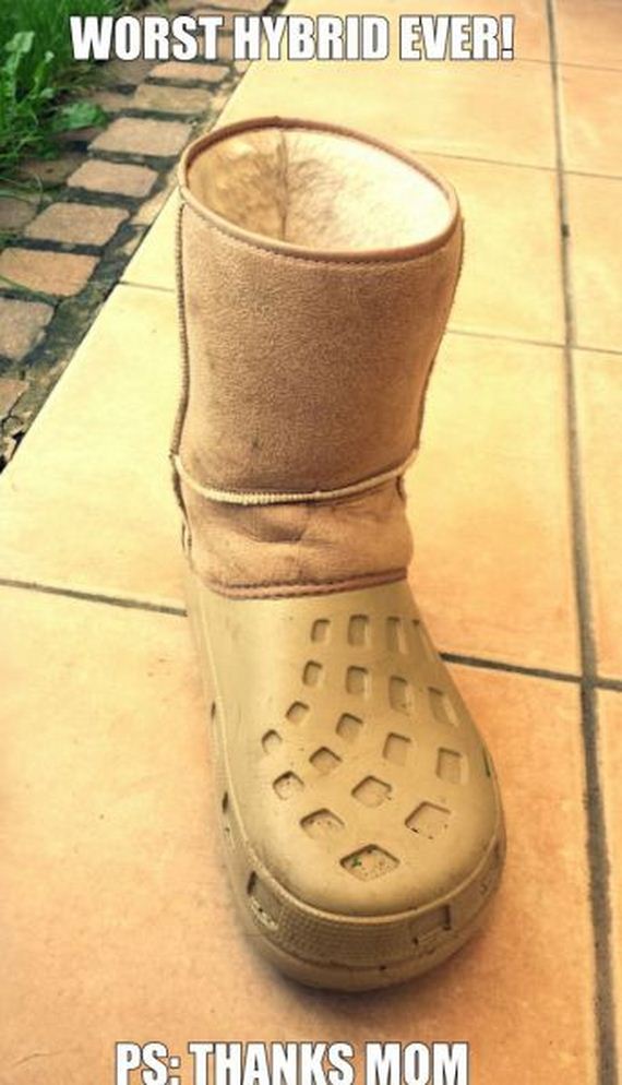 funny-pictures-561