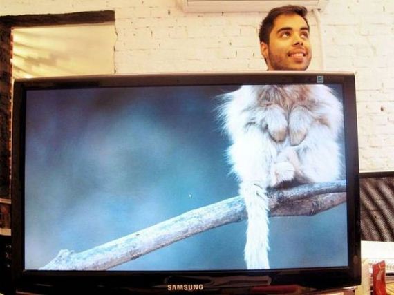 funny-pictures-562