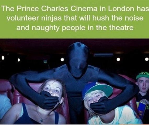 funny-pictures-562
