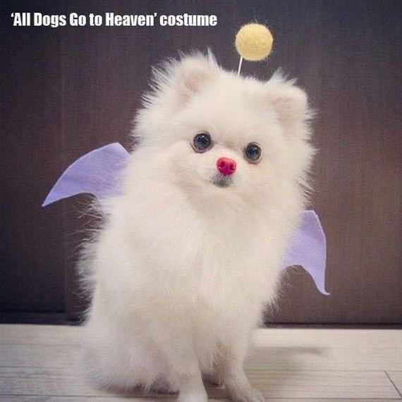 funny-pictures-562