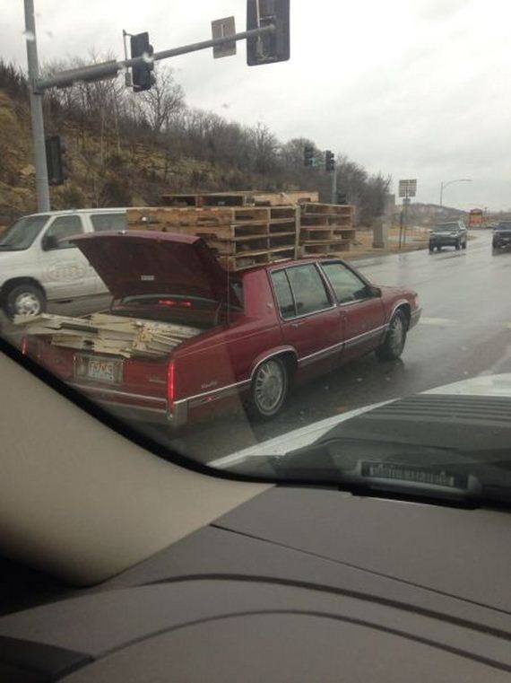 funny-pictures-562