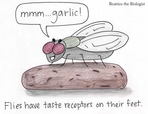 funny-pictures-562
