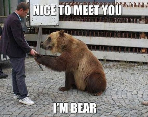 funny-pictures-564