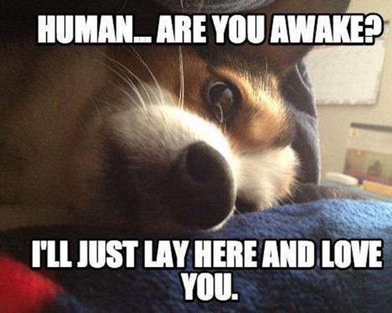 funny-pictures-564