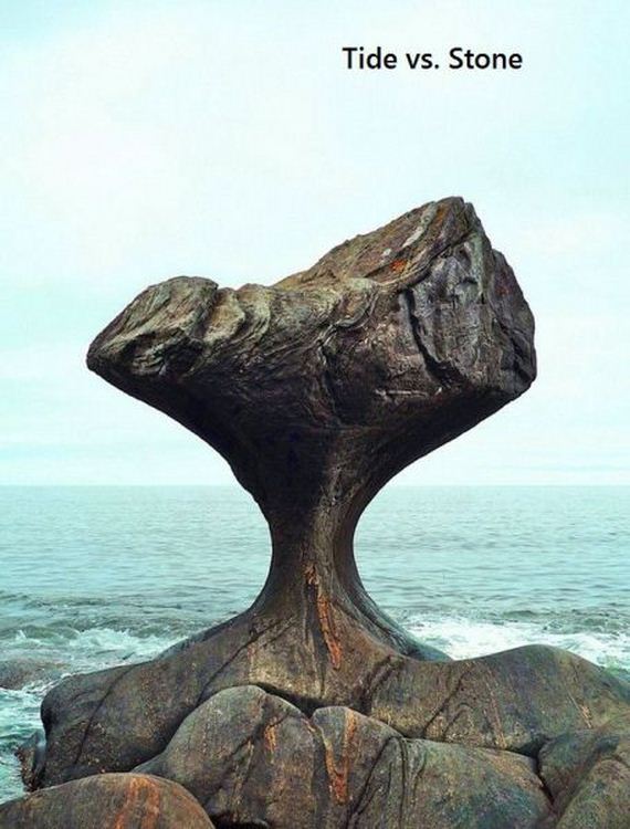 funny-pictures-564