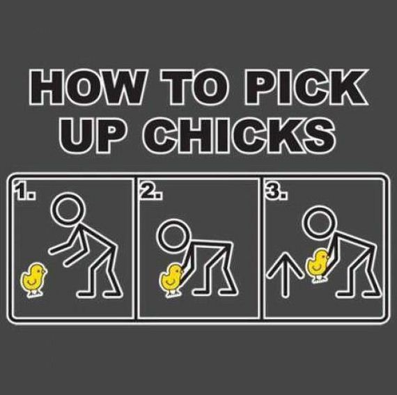 funny-pictures-564