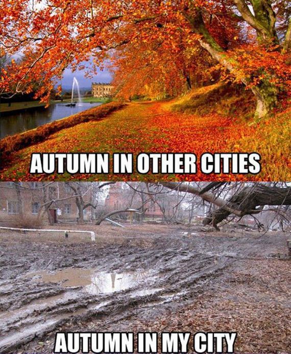 funny-pictures-564