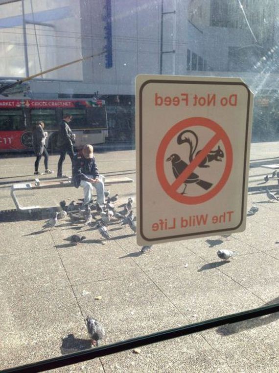 funny-pictures-565