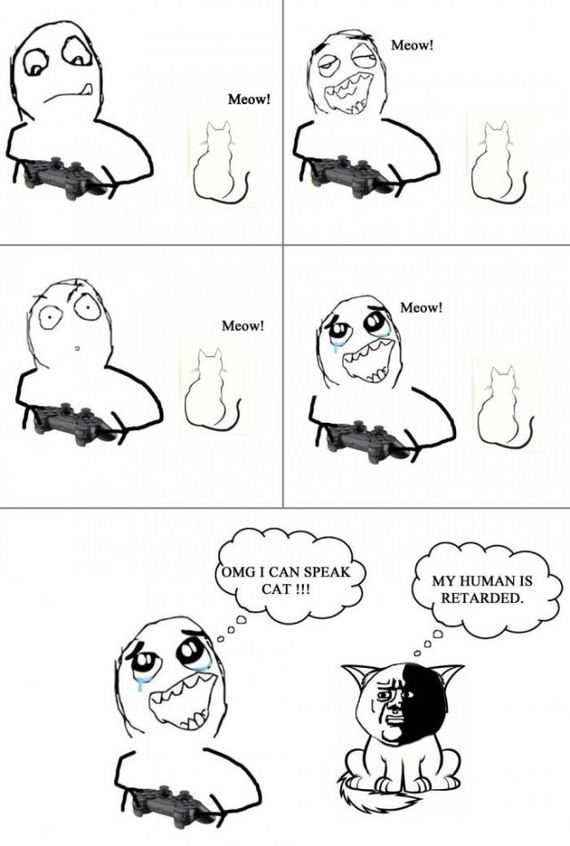 funny-pictures-565
