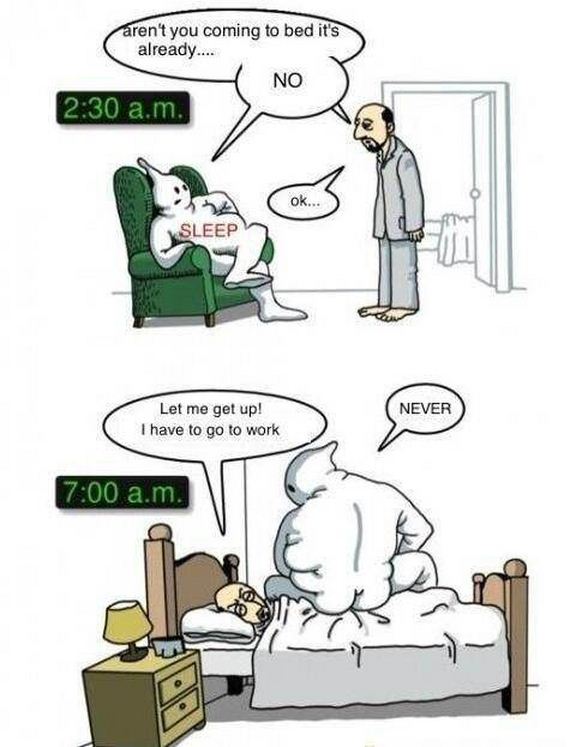 funny-pictures-565
