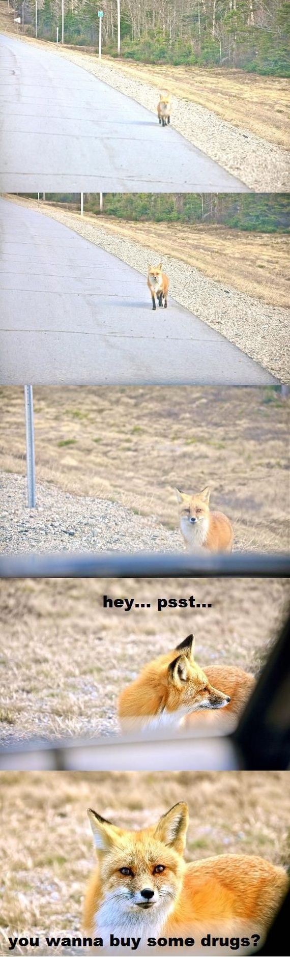 funny-pictures-565