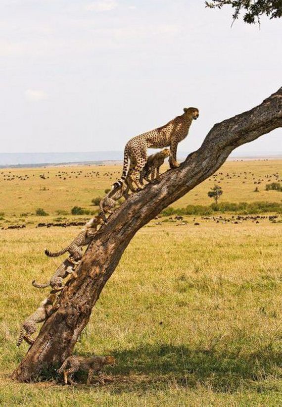 funny-pictures-565