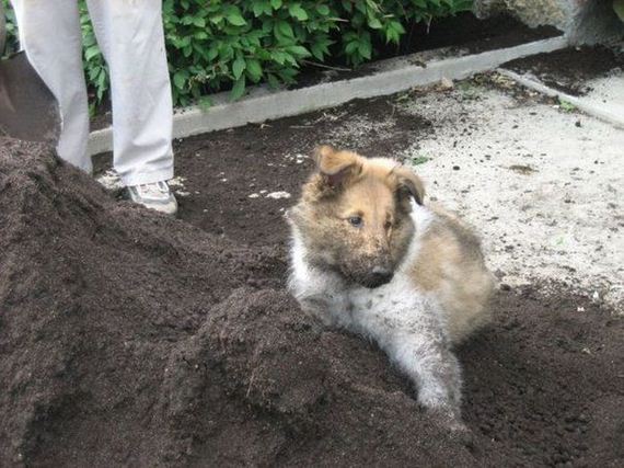 funny-pictures-567