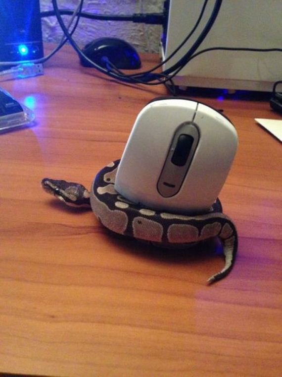 funny-pictures-567