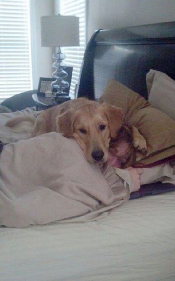 funny-pictures-567