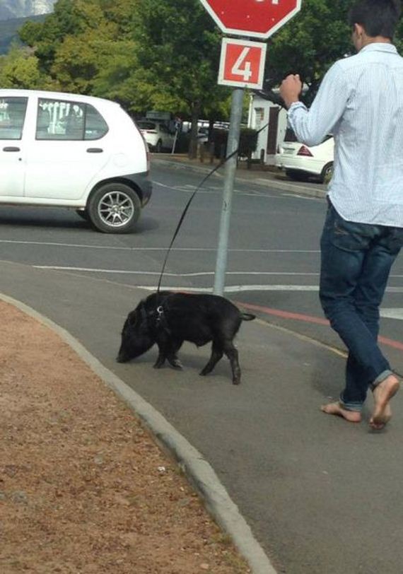 funny-pictures-567